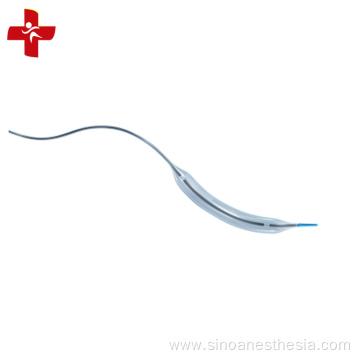 Intravascular PTCA Balloon Catheter